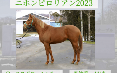 ケイズ