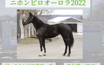 ケイズ