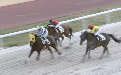 クリフ笠松8R優勝