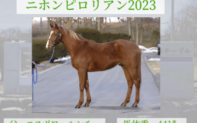 ケイズ