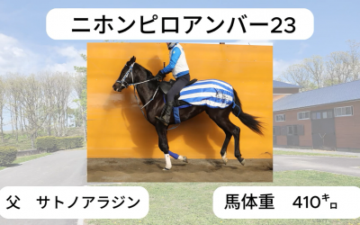 ケイズ
