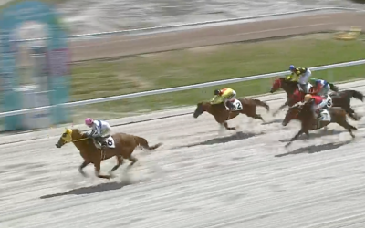 ドーバー笠松4R優勝