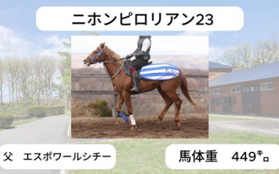 ケイズ